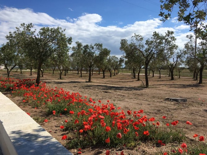 Relais Masseria Le Cesine - Immagine 9