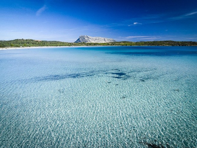 Zeta Club San Teodoro Le Rose - Immagine 7