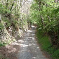 La Riserva Montebello