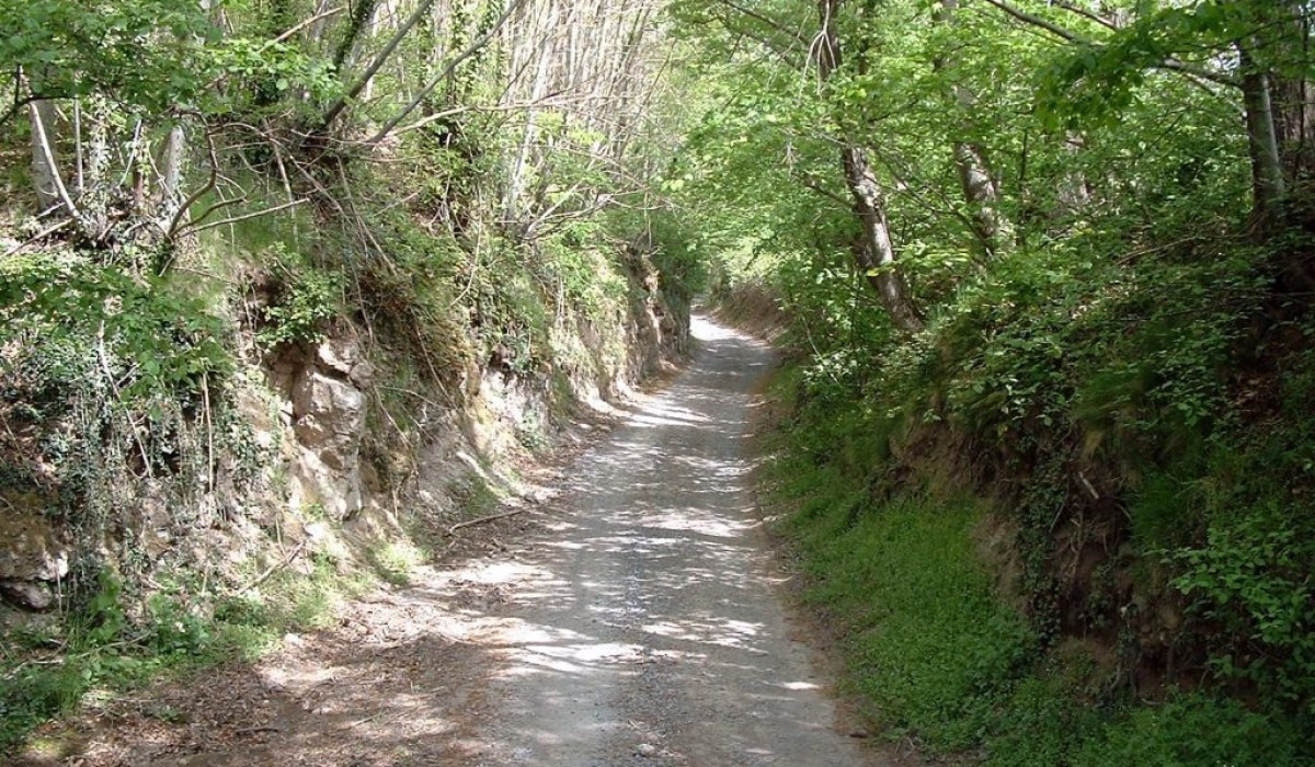La Riserva Montebello
