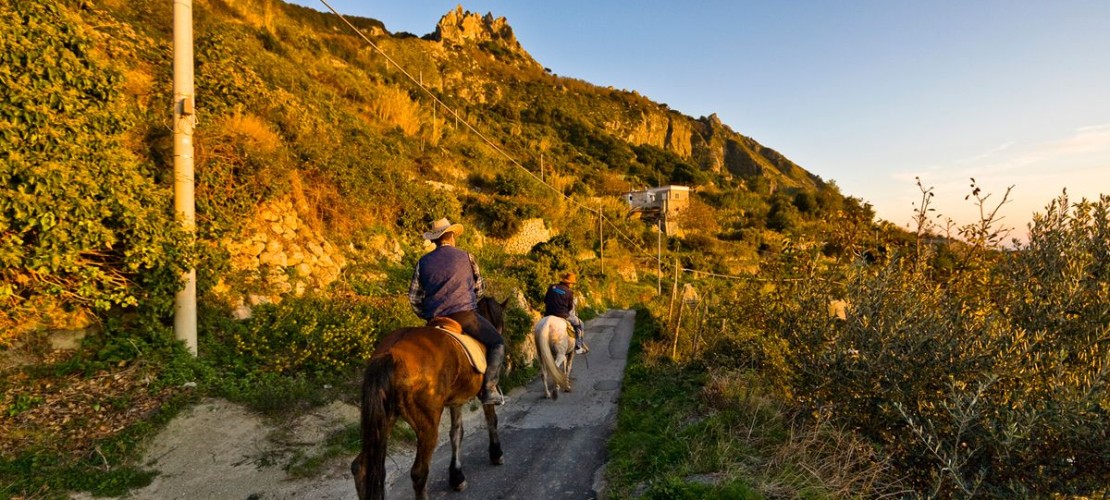 Escursione a cavallo all'Epomeo