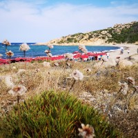 Club Esse Gallura Beach