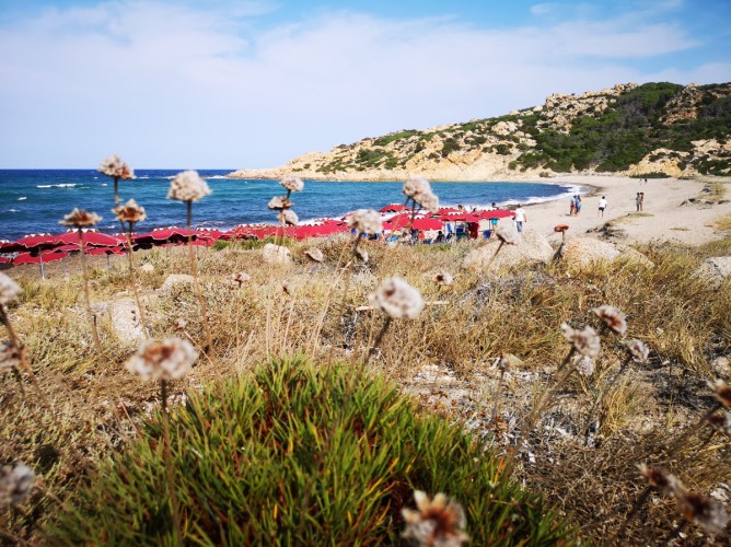 Club Esse Gallura Beach - Immagine 6