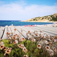 Club Esse Gallura Beach