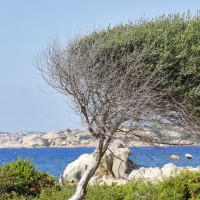 Club Esse Residence Capo d'Orso