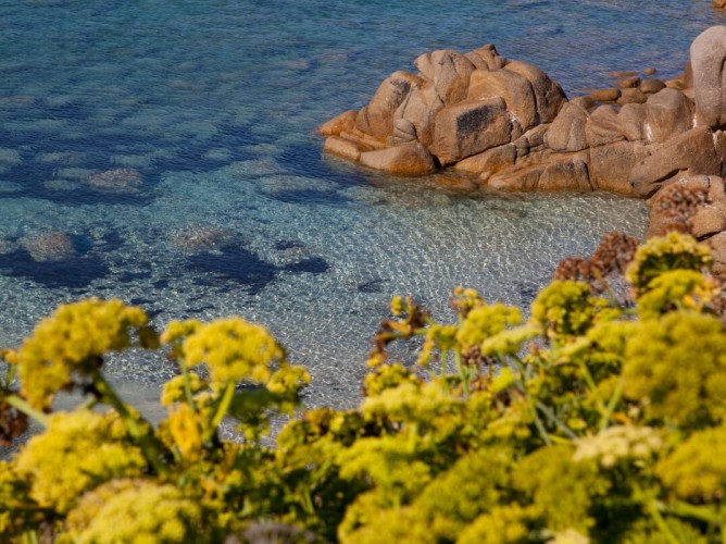 Club Esse Shardana - Shardana-Santa-Teresa-di-Gallura-mare-3