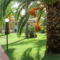 Villaggio Green Garden Club