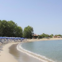 Villaggio Green Garden Club