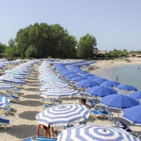 Villaggio Green Garden Club
