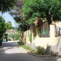 Villaggio Green Garden Club