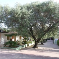 Villaggio Green Garden Club