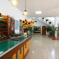 Hotel La Pineta detalii hall