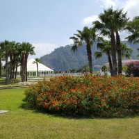 Grădinile Club Esse Sunbeach