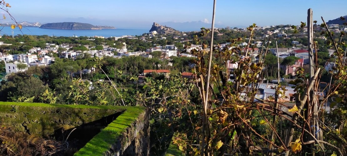 Ce să faci în Ischia în ianuarie