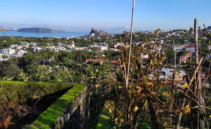 Ce să faci în Ischia în ianuarie