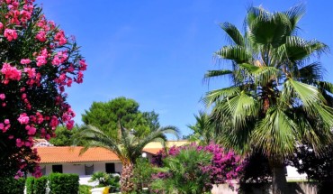Green Park Village