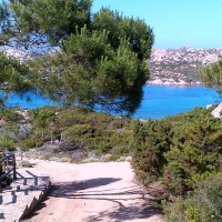 TCI La Maddalena