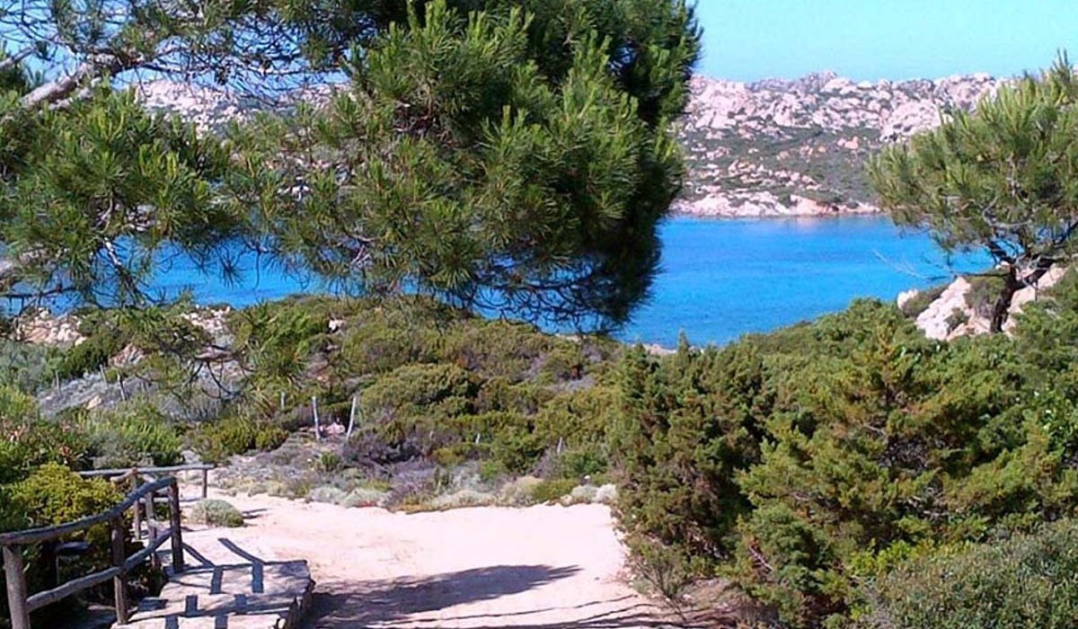 TCI La Maddalena - Immagine 7