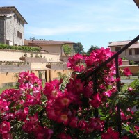 Residence La Pieve di Pomaia