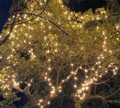 Lumini de Crăciun în Ischia