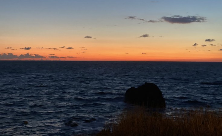 apus în martie în Ischia