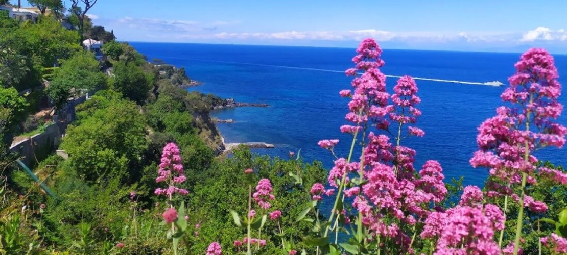 Ce să faci în iunie în Ischia
