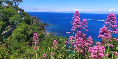 Ce să faci în iunie în Ischia