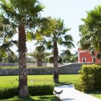 Fruit Village Torcito Resort Sport Village