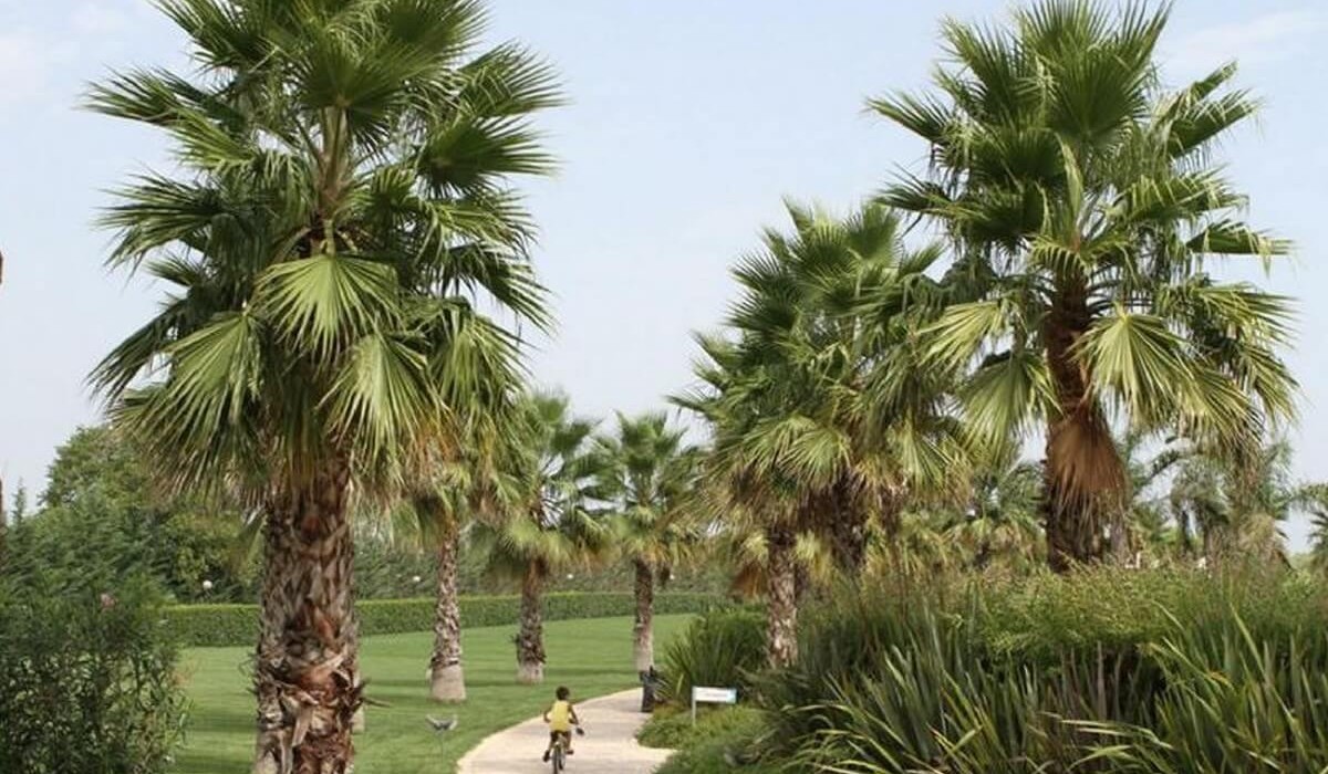 Fruit Village Torcito Resort Sport Village