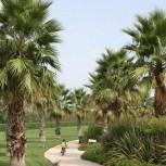 Fruit Village Torcito Resort Sport Village