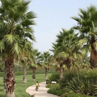Fruit Village Torcito Resort Sport Village