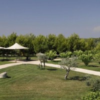 Fruit Village Torcito Resort Sport Village