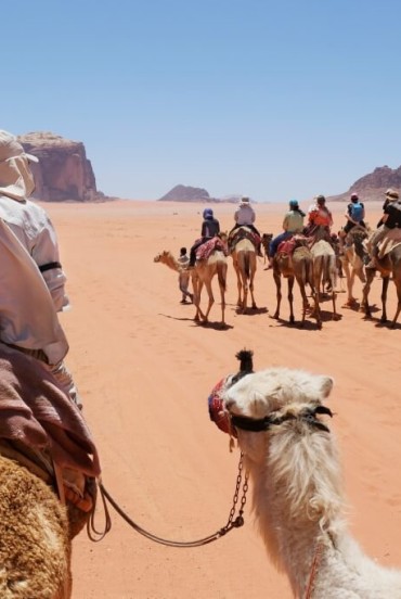 Călătorie cu cămilele în deșertul Wadi Rum din Iordania