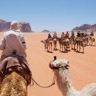 Călătorie cu cămilele în deșertul Wadi Rum din Iordania