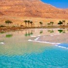 Priveliște a Mării Moarte cu palmieri și munți în fundal în Iordania