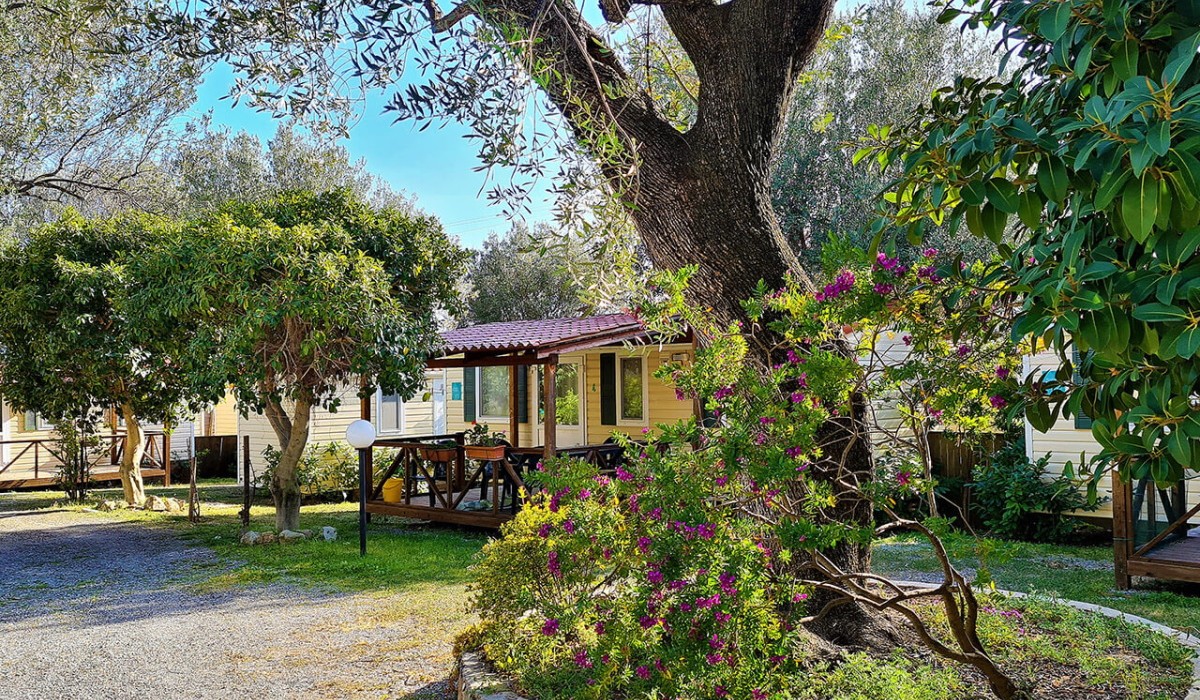 Batuca Village - piscină Batuca Village - piscină