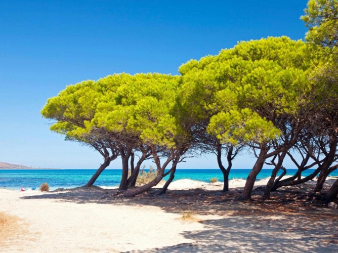 Futura Club Cala Fiorita - Immagine 2