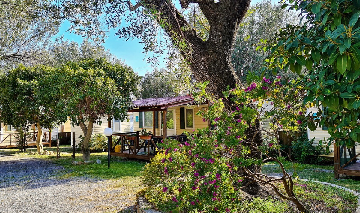 Batuca Village - grădină