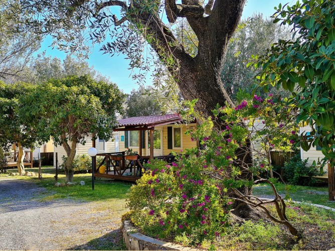 Batuca Village - grădină