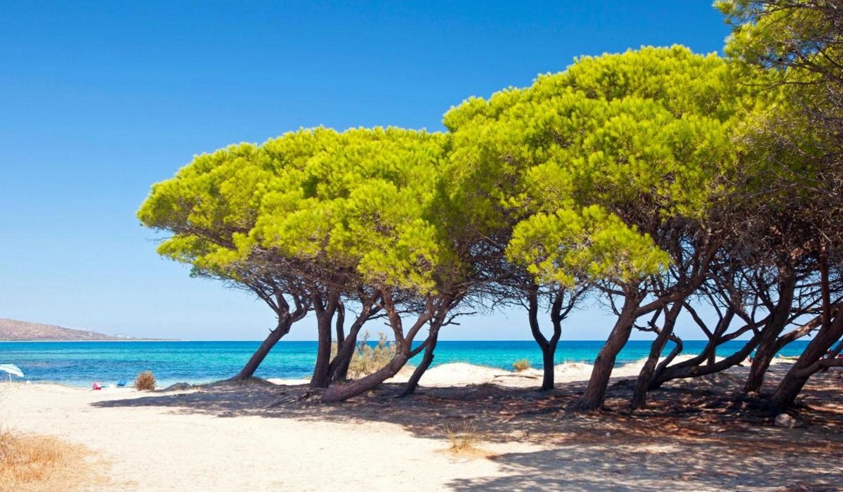Futura Club Cala Fiorita - Immagine 2