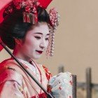 Geisha este o figură iconică a culturii japoneze, cu kimono și coafură tradițională. Este pricepută în arte precum dansul, muzica și poezia, distrând oaspeții cu grație și abilitate.