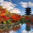 Nara, Japonia – turnul de lemn al templului To-ji se reflectă în iazul Sagiike. Un simbol al culturii japoneze, martor al tradiției și spiritualității milenare.