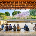 Templul Ryoan-ji, celebru pentru grădina sa zen, oferă o priveliște uimitoare a cireșilor în floare. Grădina, o capodoperă a peisagisticii zen, reprezintă esența minimalismului japonez.