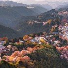 Din vârf, Nara primăvara este fermecătoare: temple istorice, Parcul Nara și flori de cireș formează un peisaj liniștit ce combină natura și tradiția japoneză.