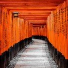 Porțile torii roșii ale sanctuarului Fushimi Inari din Kyoto marchează granița dintre lumea profană și cea spirituală, creând un drum sacru care duce pe vârful Muntelui Inari.