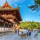 În Parcul Nara, cerbii se plimbă liber printre poteci și temple antice. În apropiere se află templul Yakushi-ji, simbol al spiritualității budiste și al istoriei japoneze.
