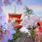 O tânără japoneză în kimono tradițional, în fața templului Kiyomizu-dera din Kyoto, întruchipează eleganța și cultura niponă, printre arhitecturi vechi și peisaje deosebite.