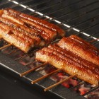 Unagi, o anghilă fragedă și gustoasă, este adesea friptă după metoda tradițională kabayaki, care îi intensifică aroma și o transformă într-o adevărată delicatesă japoneză.