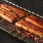 Unagi, o anghilă fragedă și gustoasă, este adesea friptă după metoda tradițională kabayaki, care îi intensifică aroma și o transformă într-o adevărată delicatesă japoneză.
