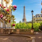 O piațetă cu felinare clasice pariziene încadrează Turnul Eiffel pe fundal, îmbinând farmecul urban atemporal cu măreția simbolului emblematic al Parisului.